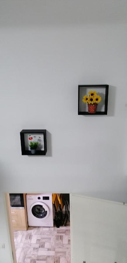 Little-Oasis Apartment Budapest Extérieur photo
